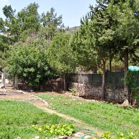 Datca Organik Farm Hause Holiday home Mugla