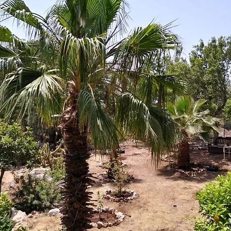 Holiday home Datca Organik Farm Hause *