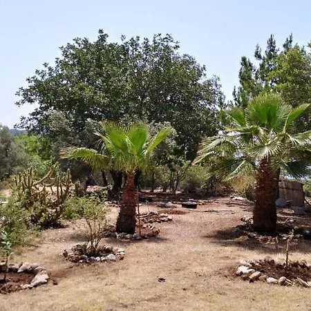 Holiday home Datca Organik Farm Hause Mugla