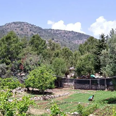 Datca Organik Farm Hause Holiday home Mugla