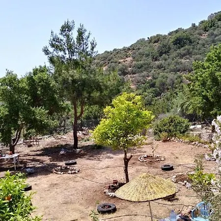 Holiday home Datca Organik Farm Hause