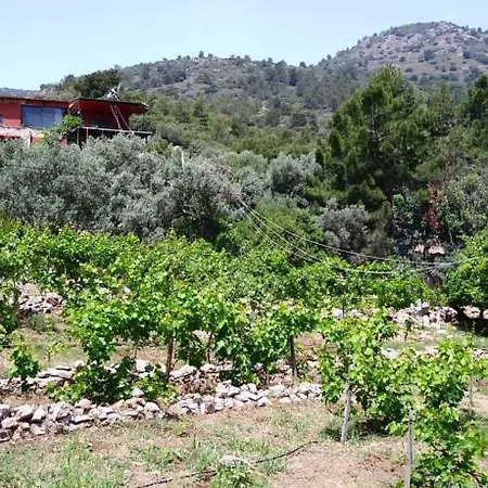 Holiday home Datca Organik Farm Hause