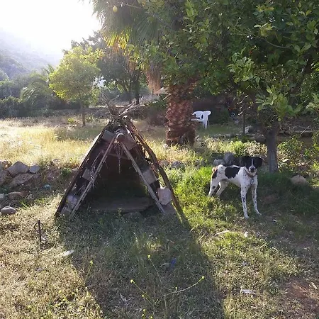Holiday home Datca Organik Farm Hause Mugla