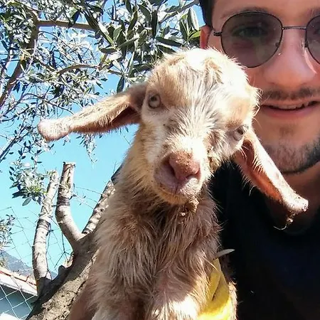 Datca Organik Farm Hause * Mugla